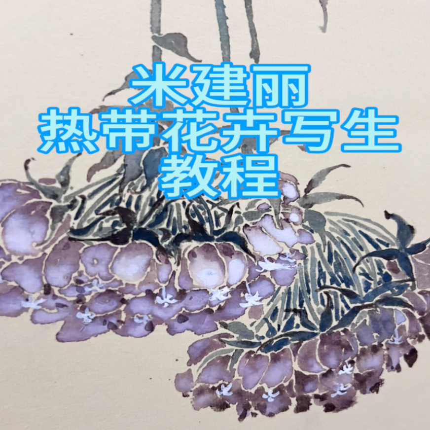 米建丽《醉舞百花》花卉写生教程（留意短信解锁课程）