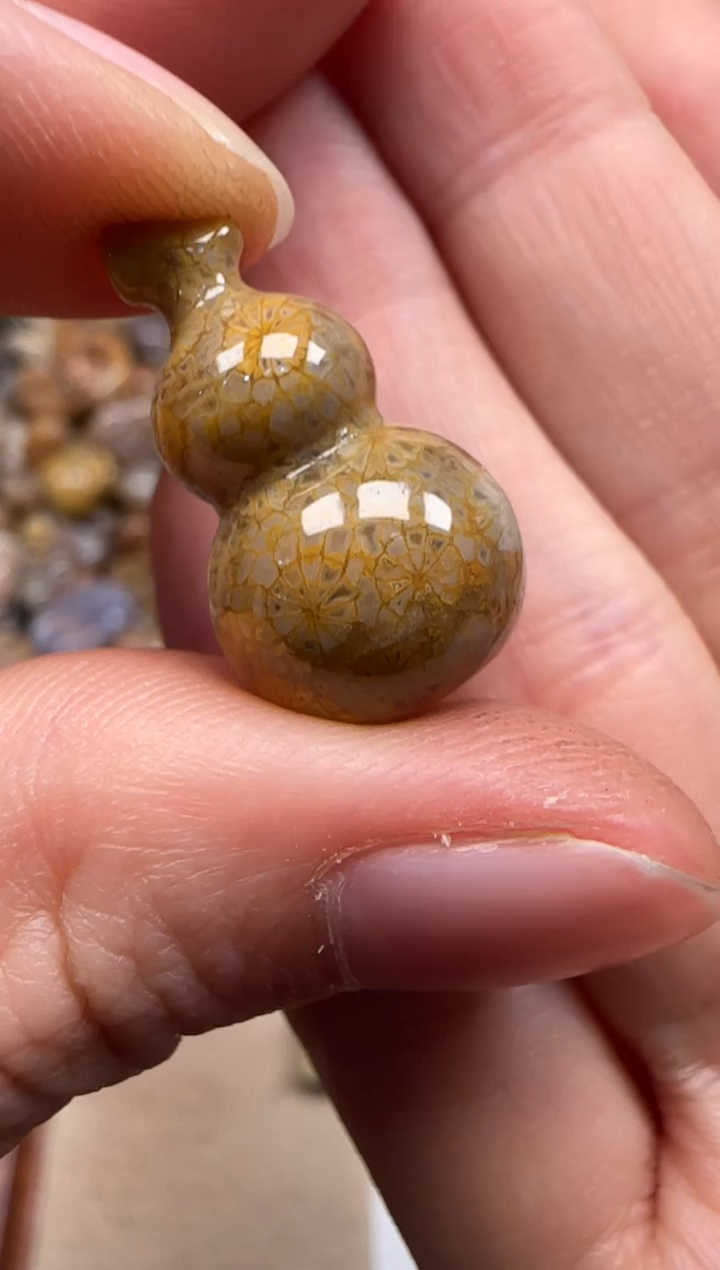 【闪购商品】硅化珊瑚（珊瑚玉）颈饰未镶嵌490