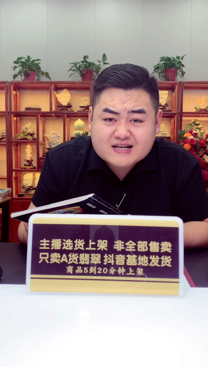 定制翡翠未镶嵌闪购毛货链接WL0156155