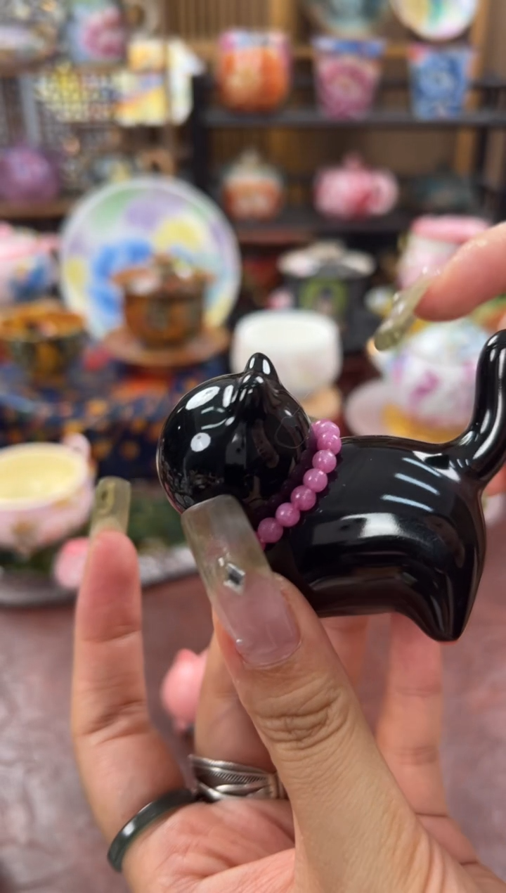 墨黑猪油冻茶宠萌猫