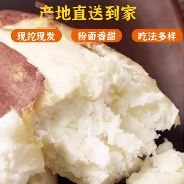 新鲜现挖白心红薯粉糯香甜爆皮王当季美味冰糖哈密白薯