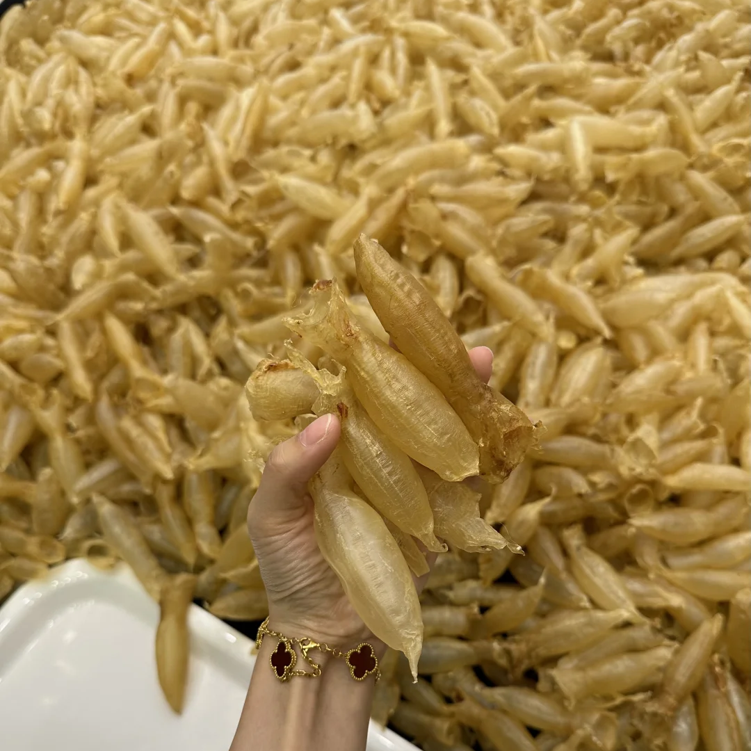 【赵麻麻精选】450-460蜘蛛公胶（称重）
