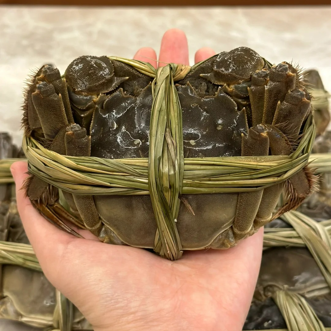 【活蟹】江苏大闸蟹 全母蟹礼盒（2.8-3.2两/只）3两母 8/10只装 顺丰