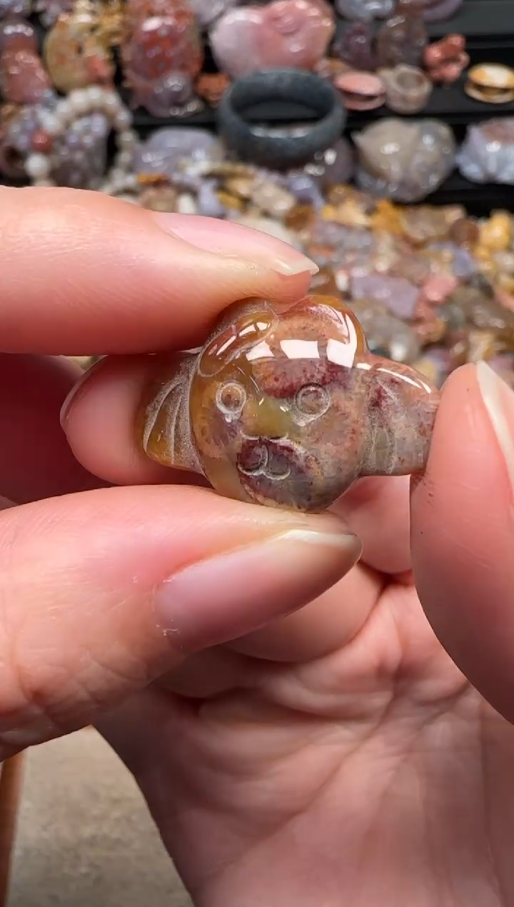 颈饰未镶嵌硅化珊瑚（珊瑚玉）330