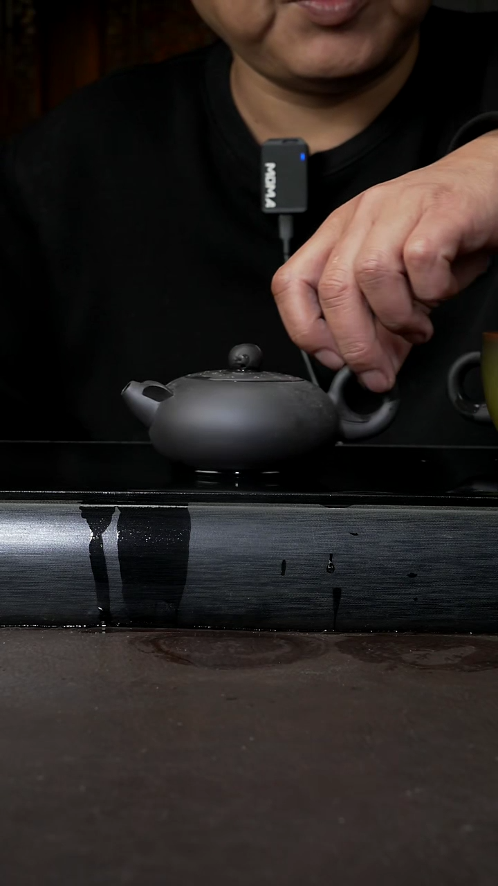 【闪购商品】紫砂茶壶黑料 铺沙圆壶 120cc 001