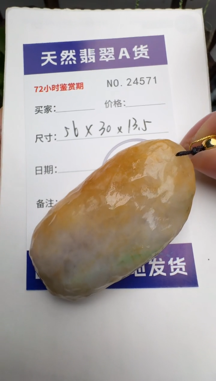 翡翠未镶嵌颈饰原石24571