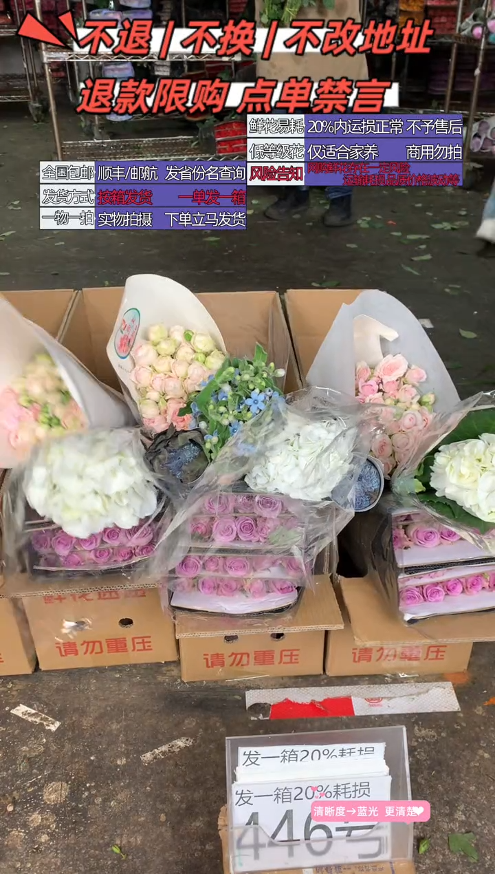 446号♥含20%耗损发一箱