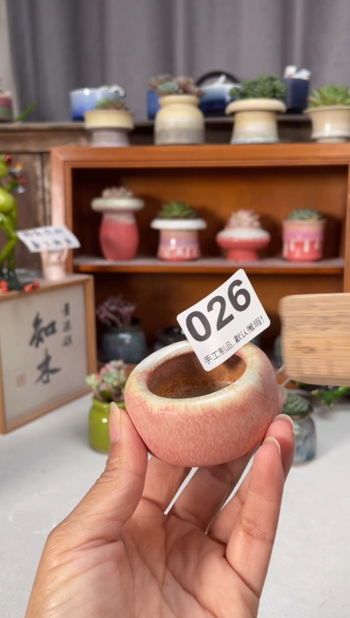 瓷片026小芳直播编号