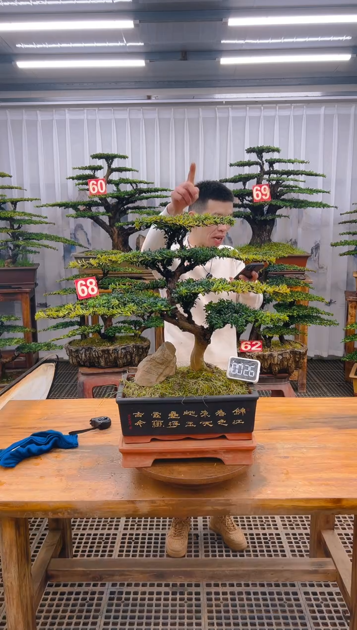 【闪购商品】紫砂精品盆景直播间一物一拍