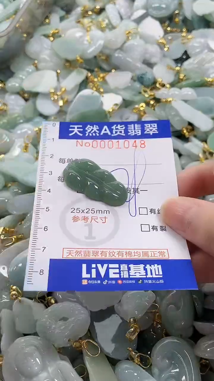 颈饰未镶嵌翡翠纯天然a货翡翠