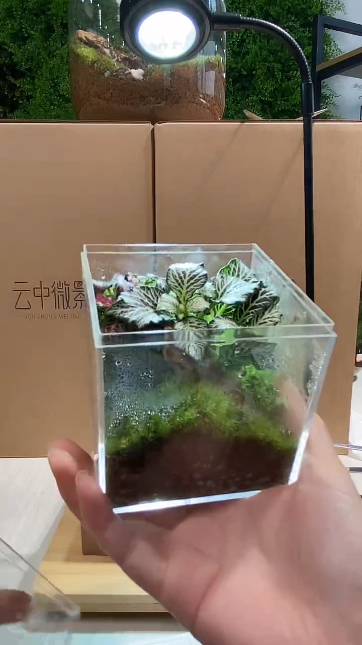 【闪购商品】亚克力方缸