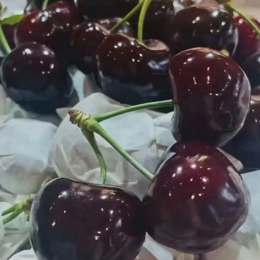 特大黑车套袋黑珍珠大樱桃车厘子带箱5斤现摘头茬【EMS空运多仓发】