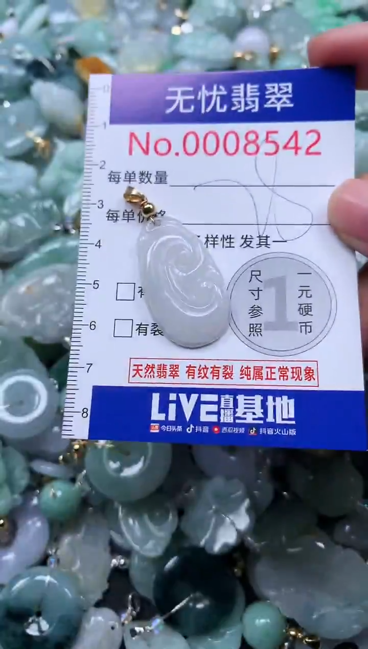 颈饰未镶嵌翡翠8542