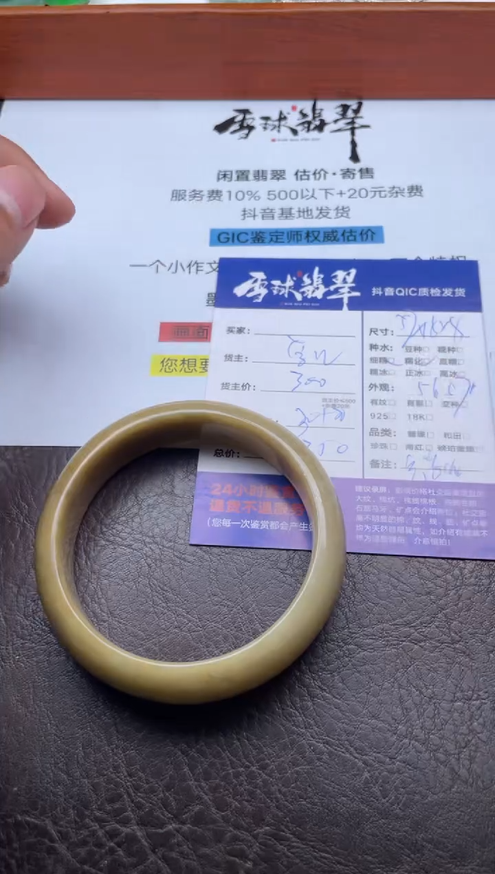 未镶嵌手镯翡翠20651208008