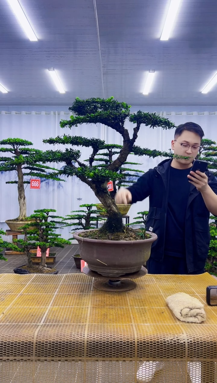 通****己000000000000000