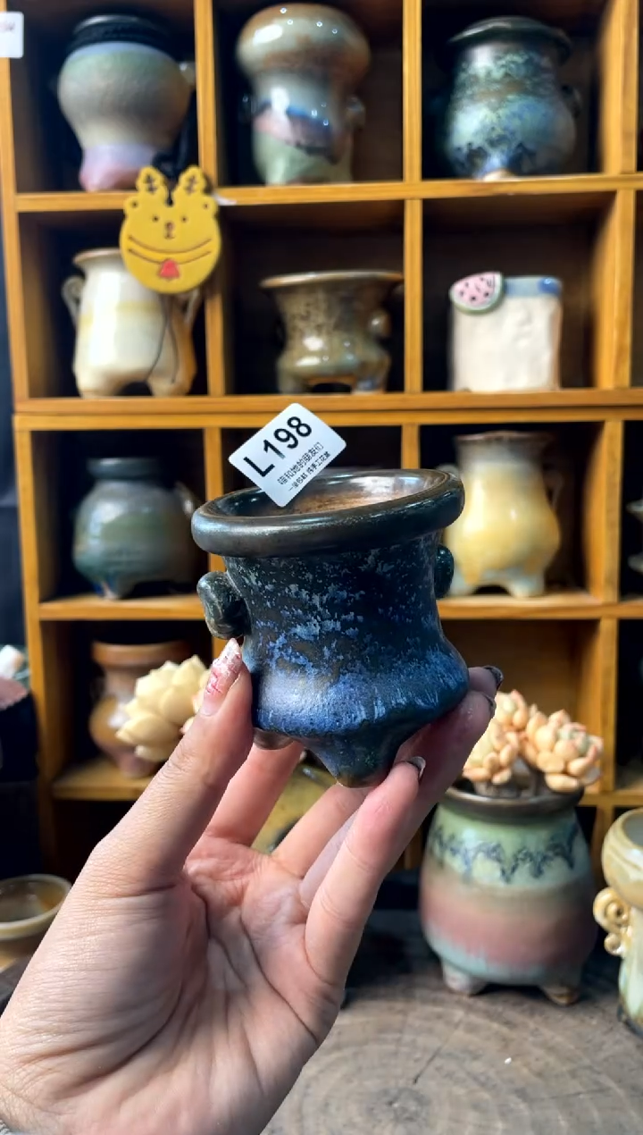 198内口5【多肉花盆多肉盆】