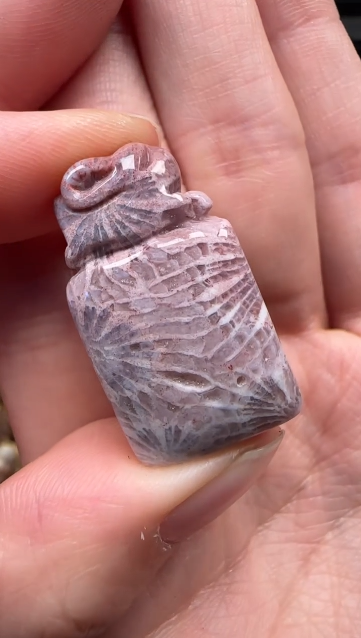 颈饰未镶嵌硅化珊瑚（珊瑚玉）835