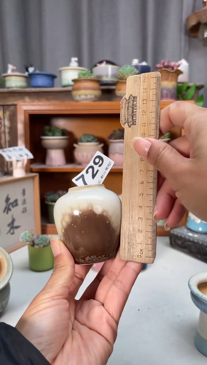 瓷片729知木小芳花盆
