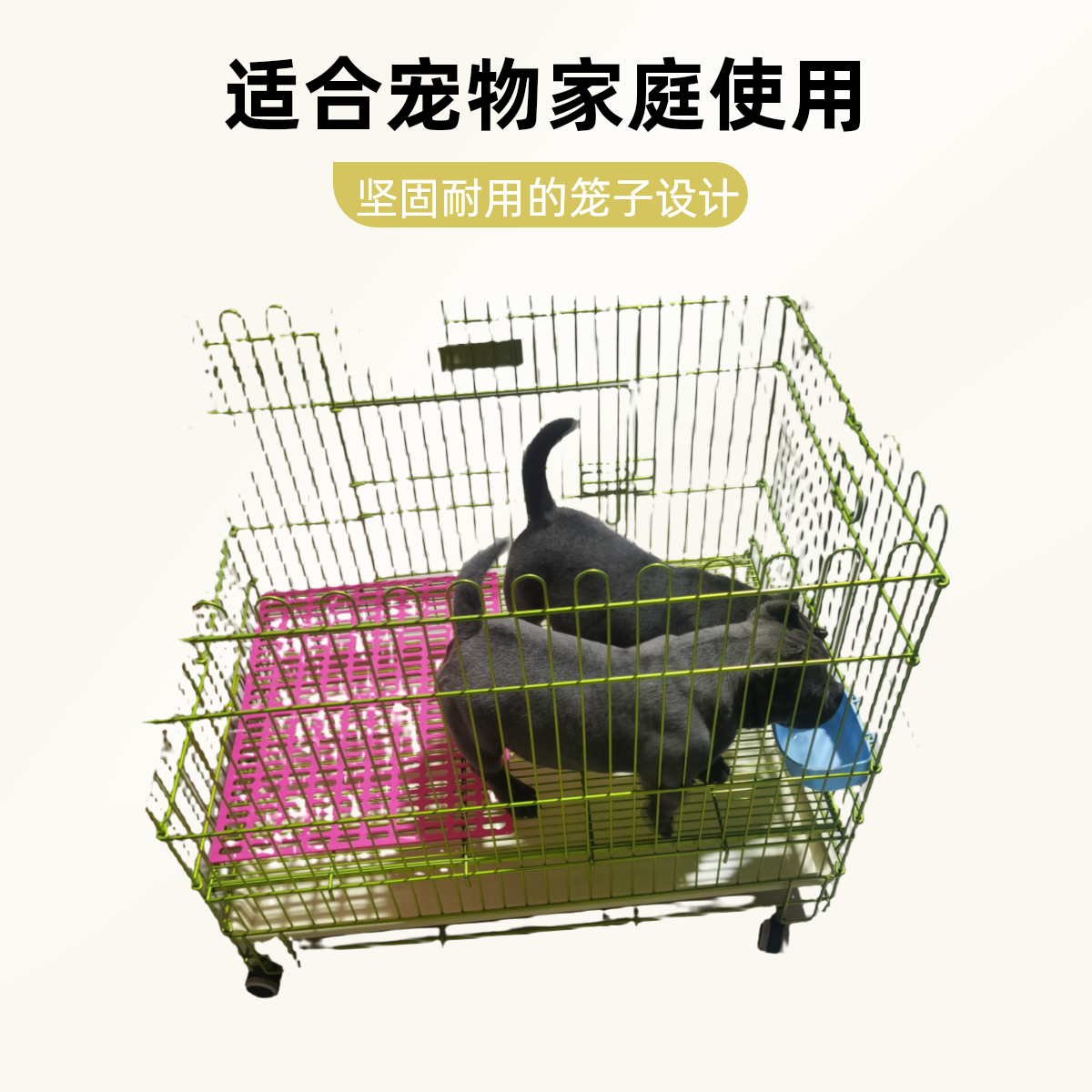 活体宠物笼具（拍前咨询主播）