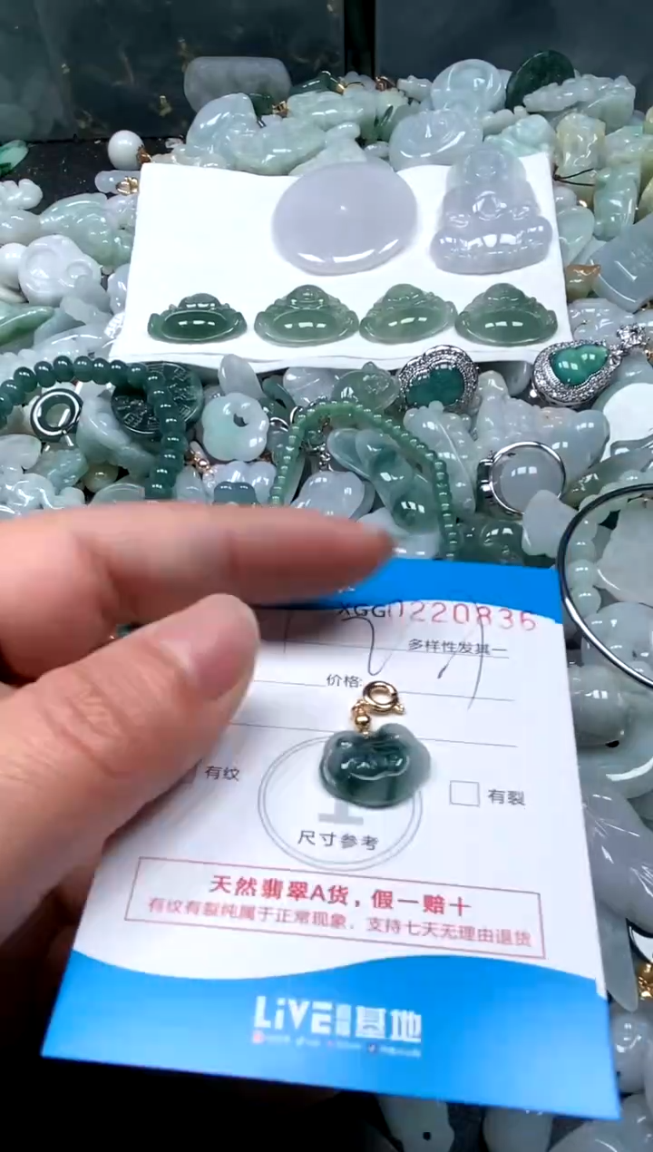 【闪购商品】翡翠颈饰未镶嵌闪购商品0220836