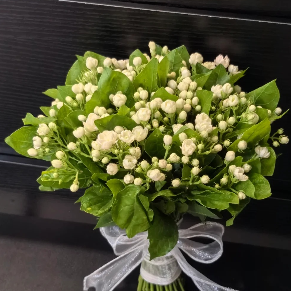 【茉莉花一扎】百搭配花 香气扑鼻 鲜花次日达批发直播品质鲜花 全场任意满两单顺丰包邮