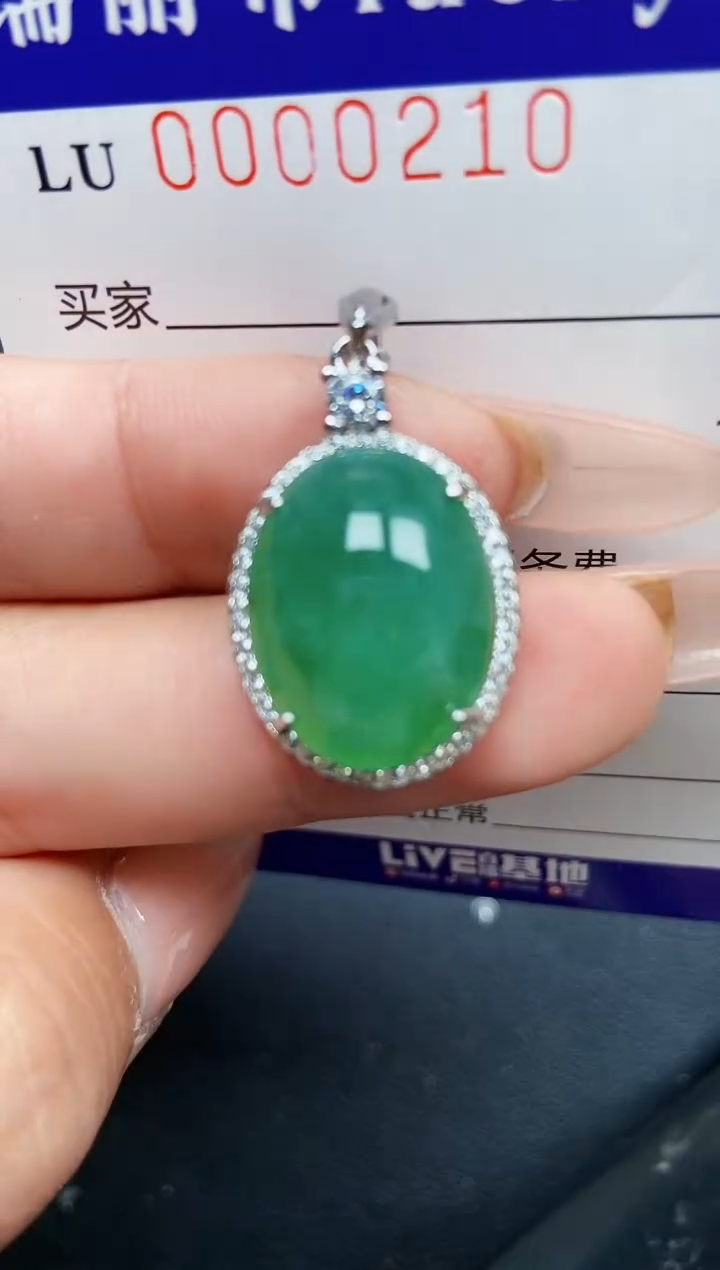 【闪购商品】翡翠颈饰银S925镶嵌0210