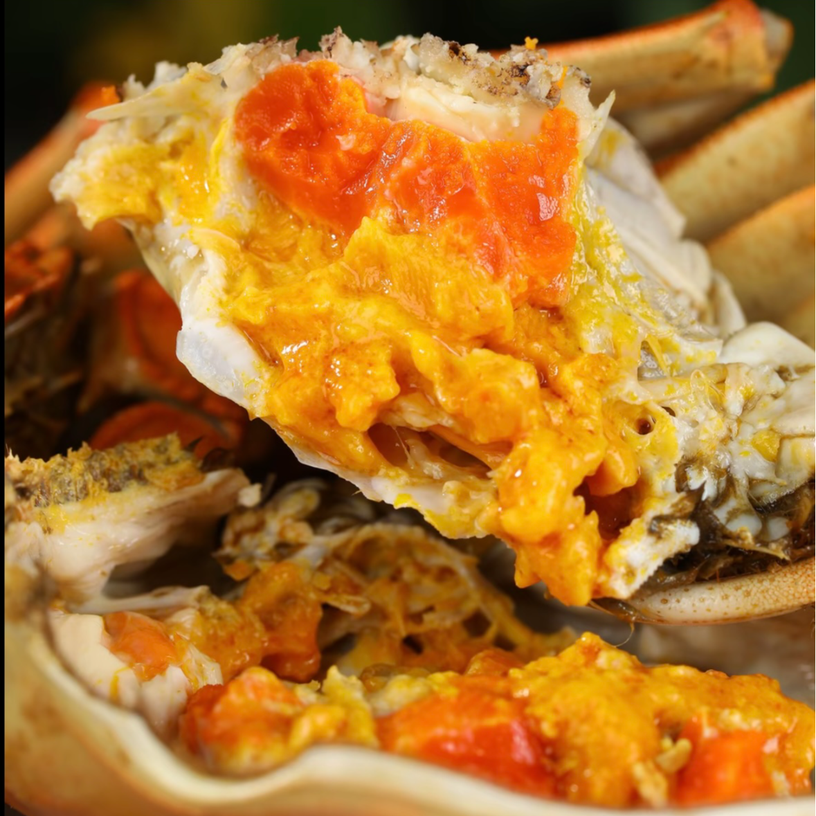 母蟹【直播间现称】3两4两7/8只活蟹江苏大闸蟹