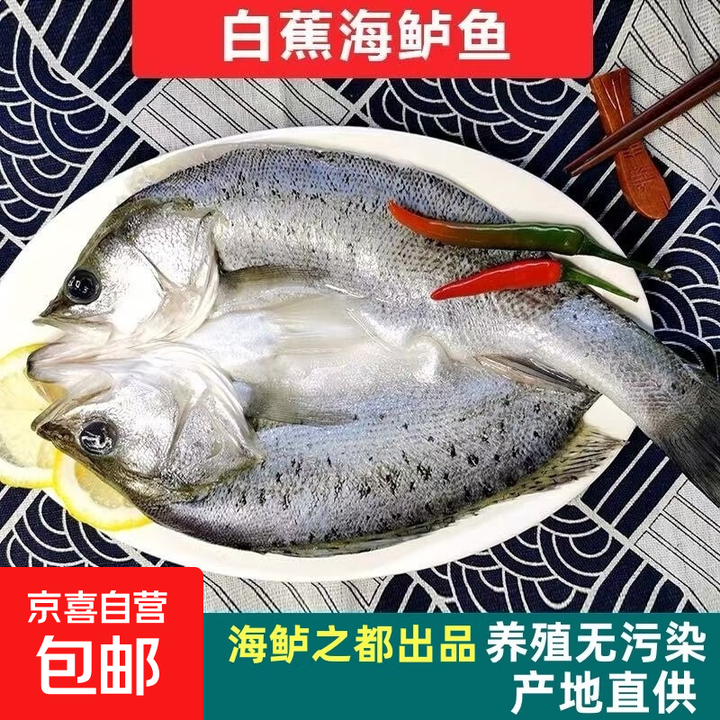 全疆包邮开背海鲈鱼新鲜冷冻免处理去鳞去鳃去内脏可直接烹饪