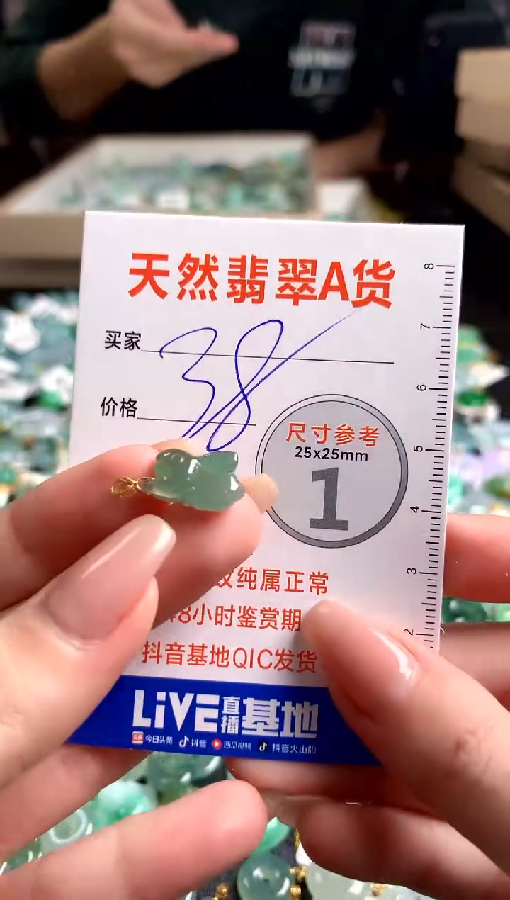 【闪购商品】翡翠颈饰18K金镶嵌13003452