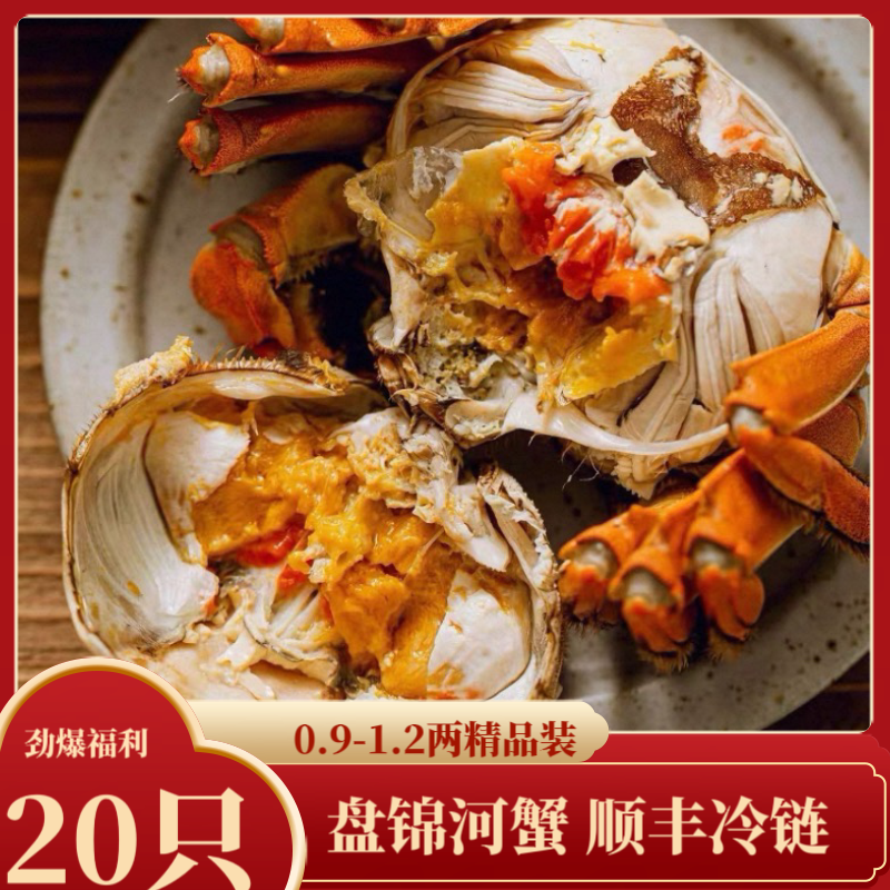【活蟹】 辽宁盘锦河蟹 全母20只 0.9-1.2两蟹 死蟹包赔 礼盒装 
