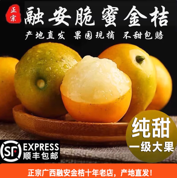 [第三代顺丰]融安脆蜜金桔纯甜爆汁新鲜水果现摘现发普通箱皮稍厚