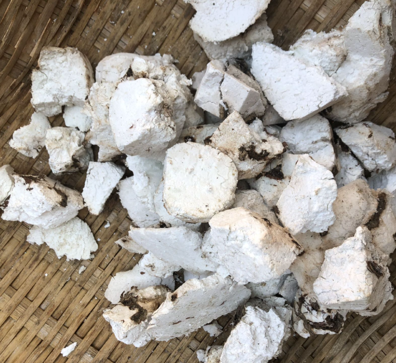 野茯苓 云南 高原 正宗【木兰精选】