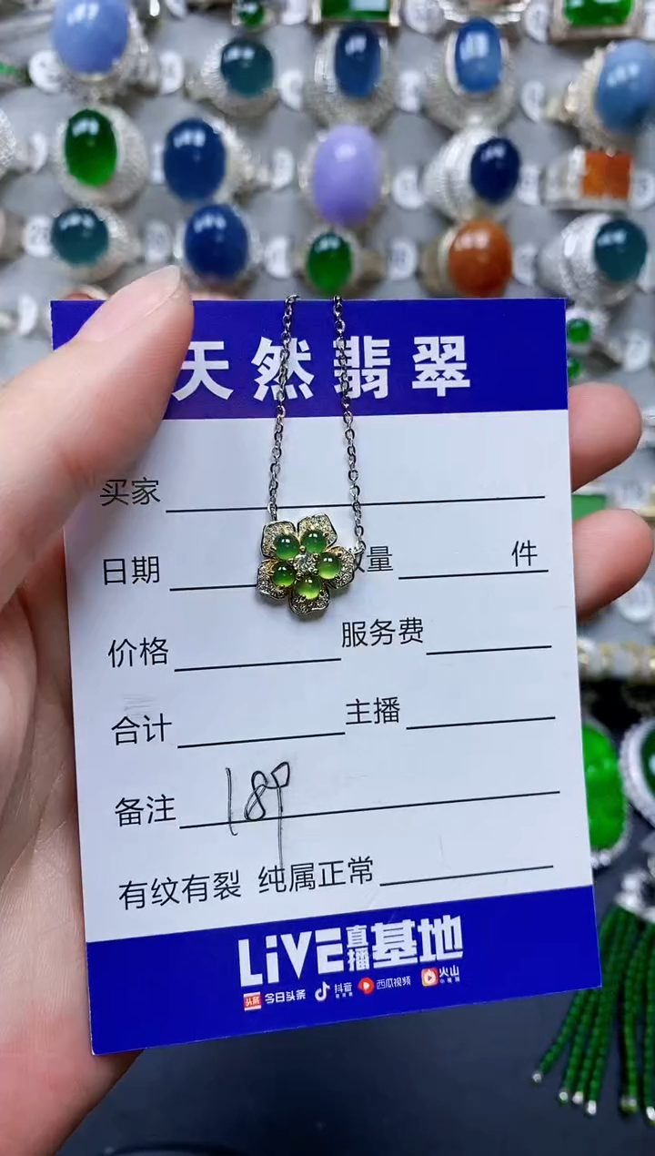 翡翠银S925镶嵌颈饰0189