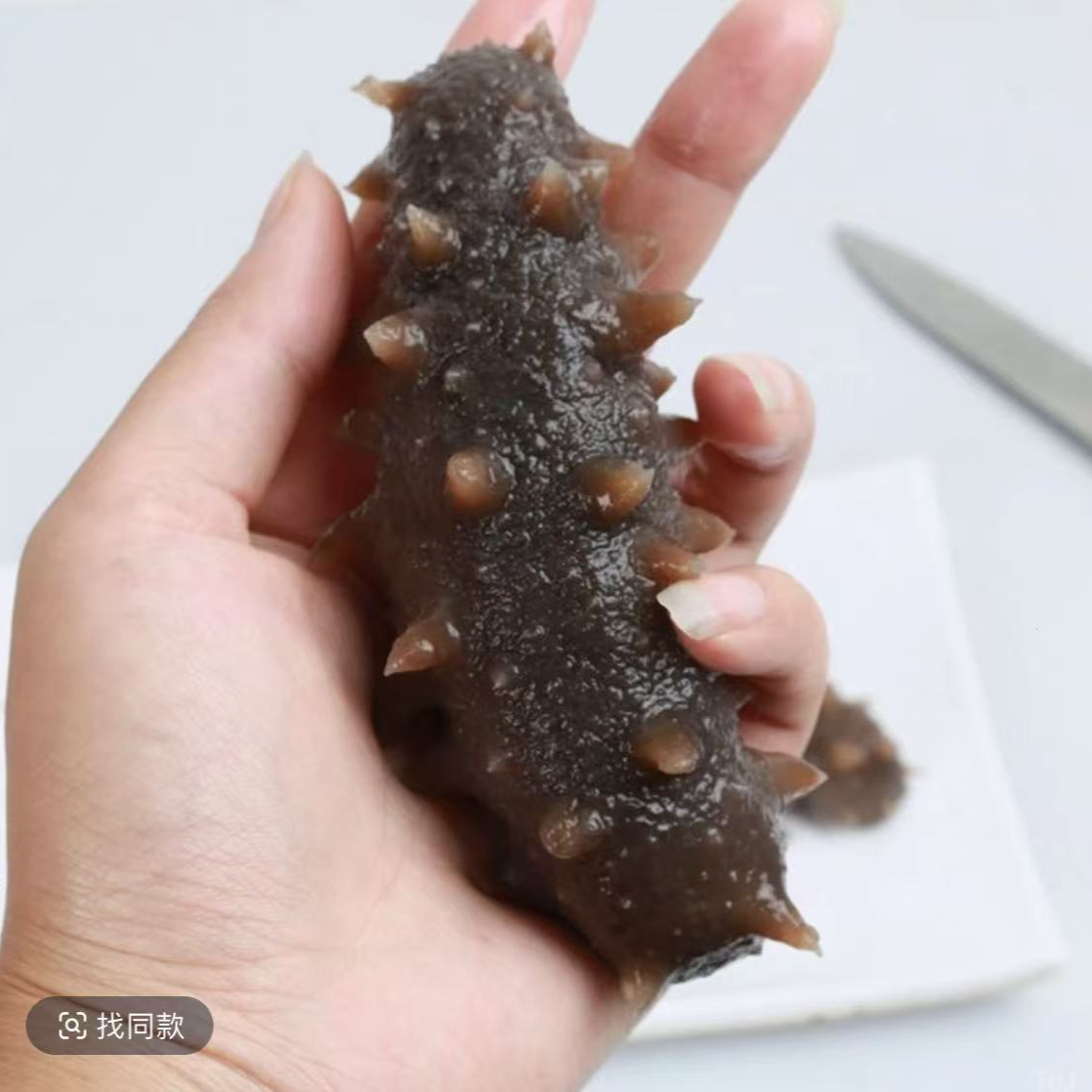 【霞浦海鲜】鲜食海参一斤7-9头冷链运输（以直播间为准）