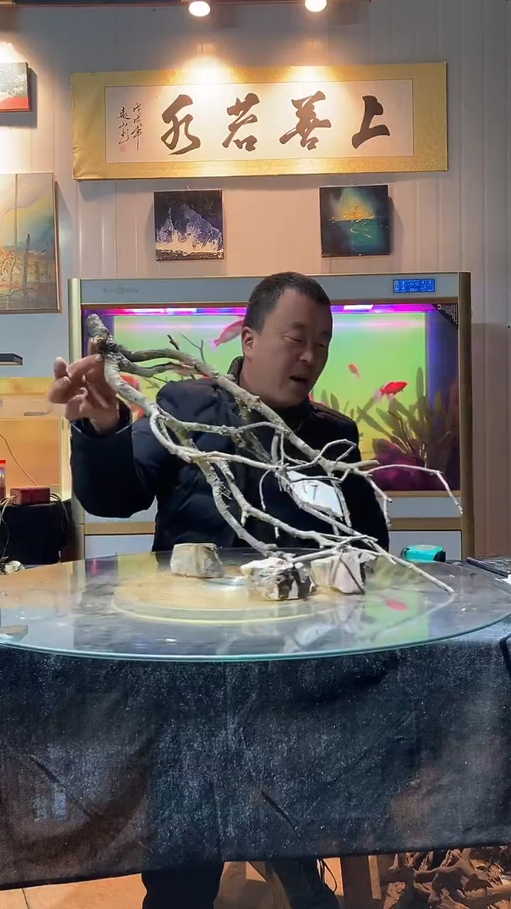 119号天然黄栎木一组适合60缸