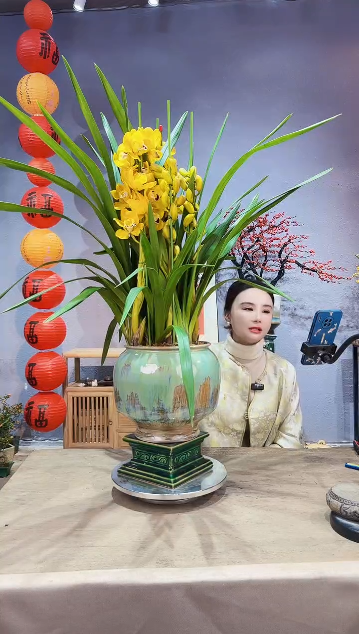 【闪购商品】盆景大花蕙兰 金玉满堂