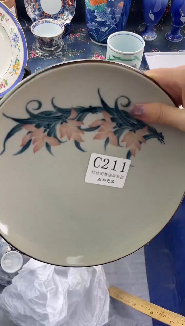瓷片          C211