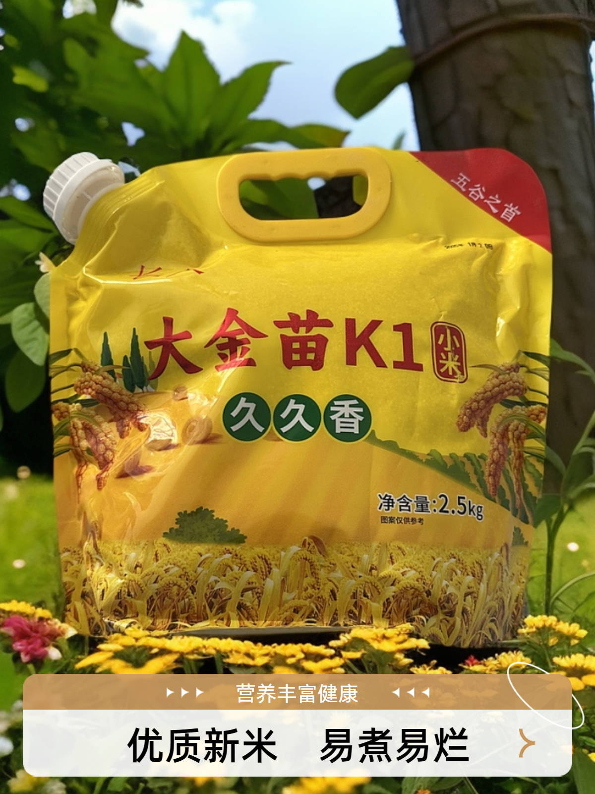 张家口特色黄小米产地直发精选优质小米正宗现磨现发自带封口