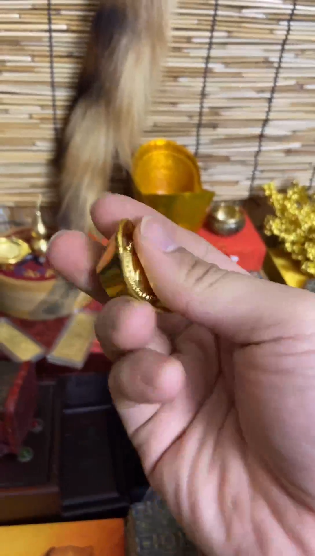 木福利--------福利