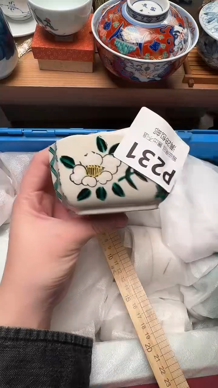瓷片淡*的P231            