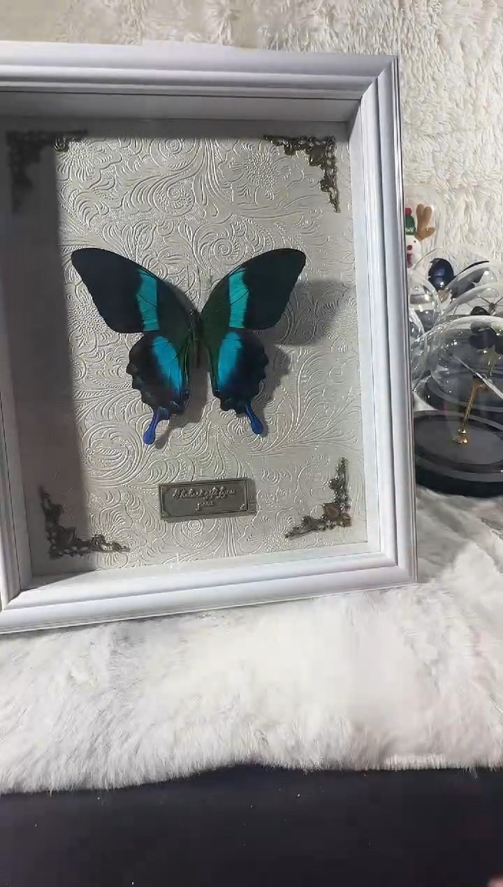 爱神凤蝶10寸相框   