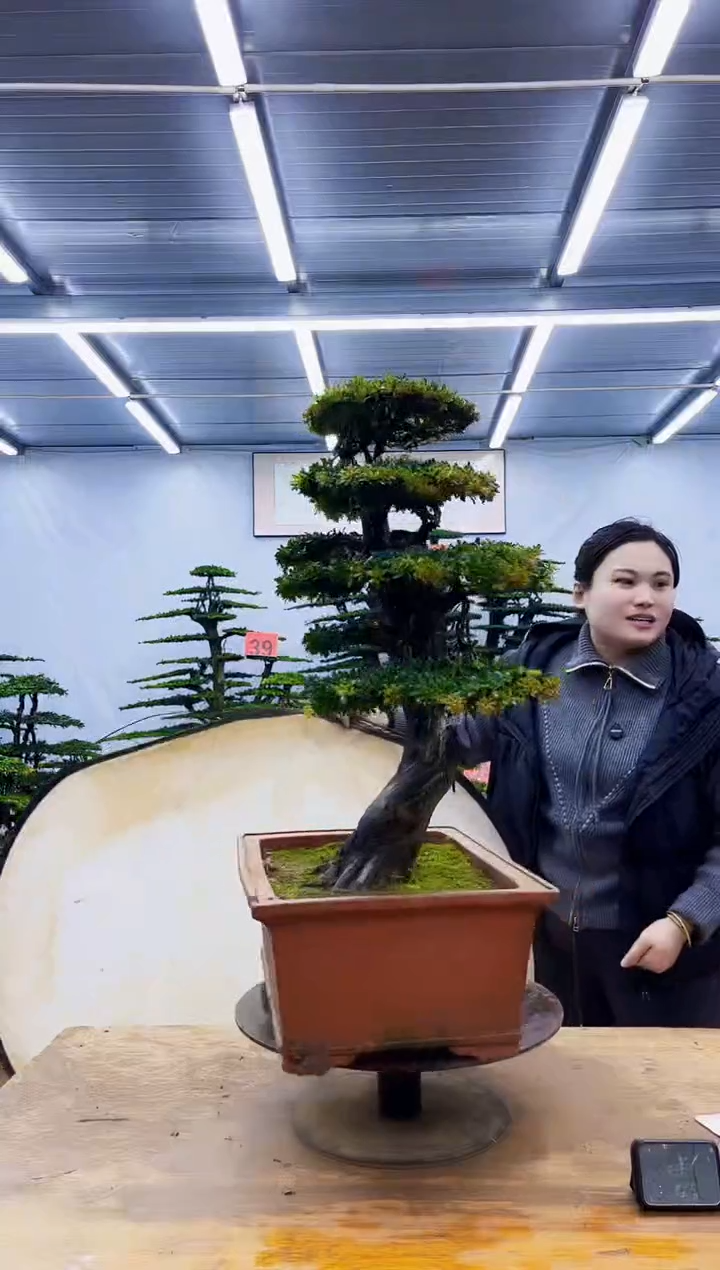 无花朵一物一拍，所见即所得