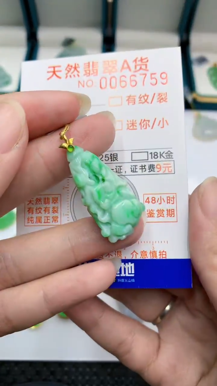 【闪购商品】翡翠颈饰18K金镶嵌            8