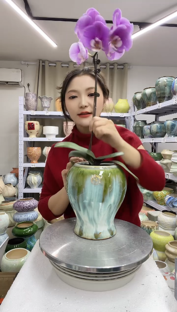 【1.3】花盆尺寸高： 19口：11