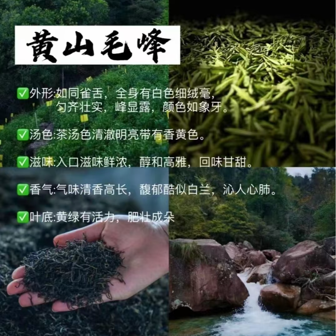 新品黄山特色毛峰（福利款）