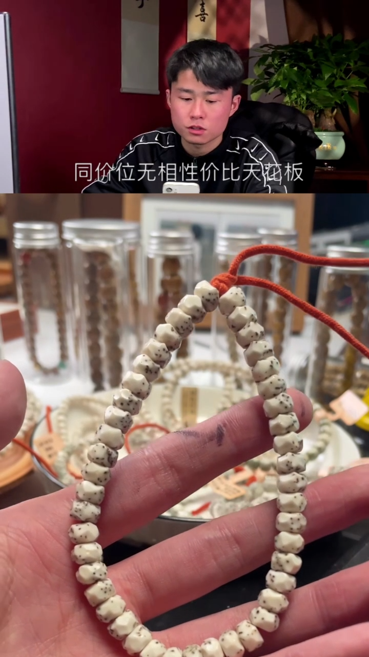 【闪购商品】星月菩提手串B1龙脊