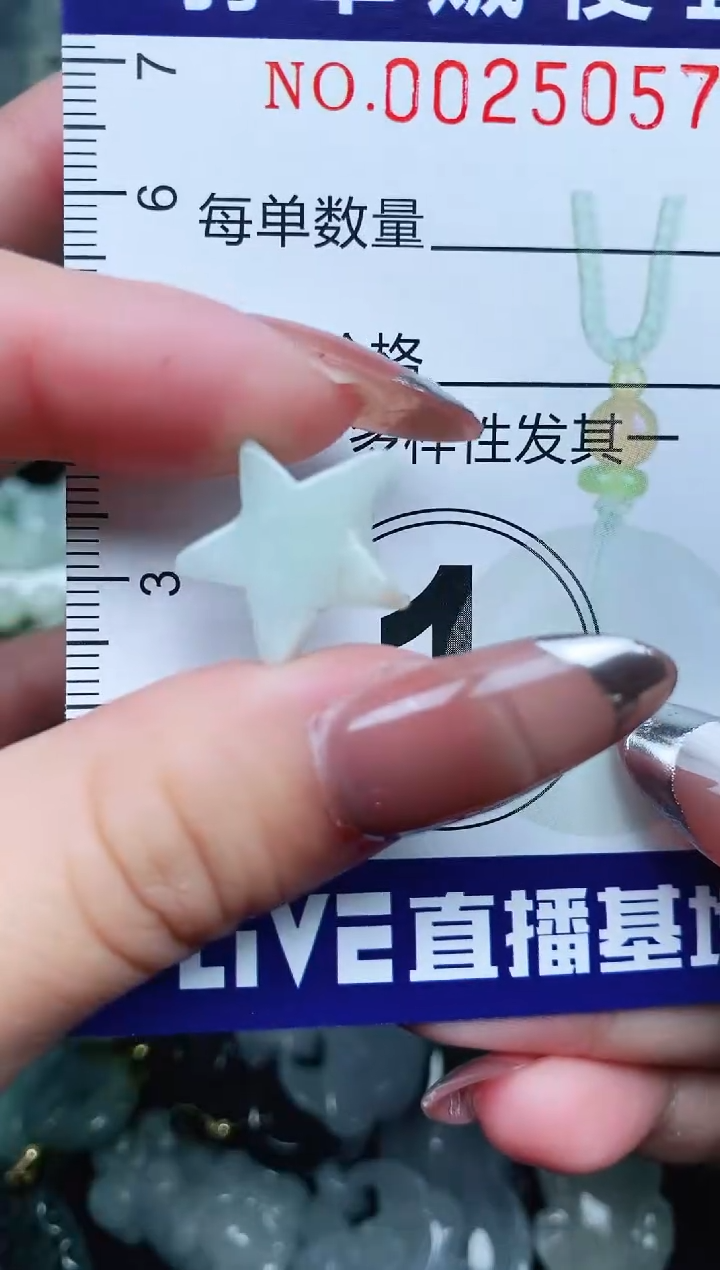 翡翠未镶嵌颈饰Y闪购0025057