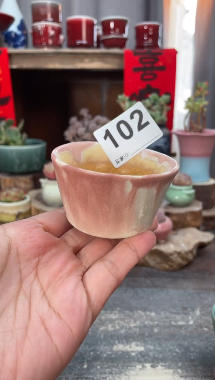 【闪购商品】摆件102木小芳花盆知