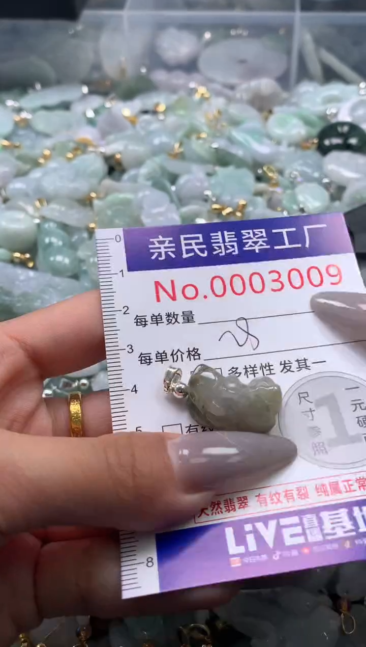 颈饰未镶嵌翡翠3009