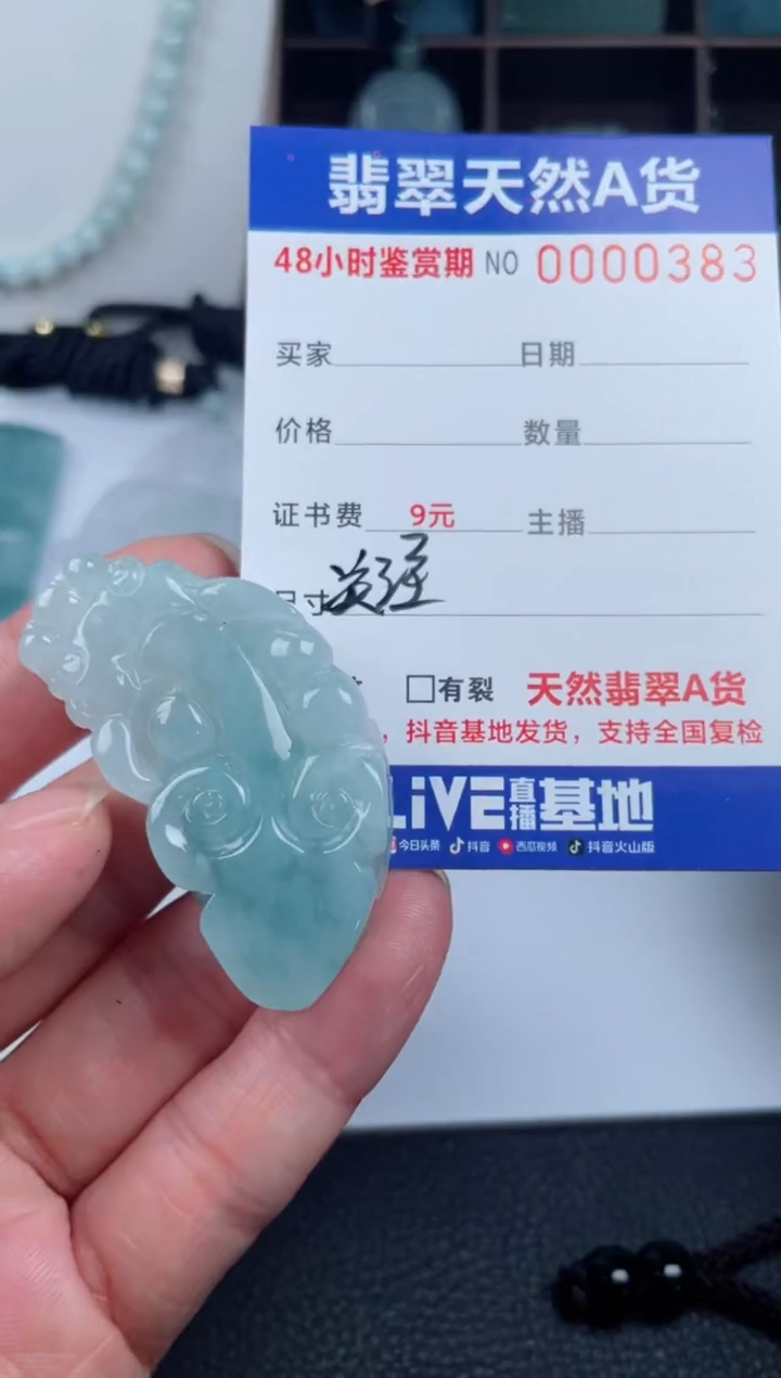 【闪购商品】翡翠颈饰未镶嵌         